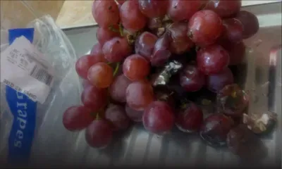 Des fruits périmés vendus dans un supermarché