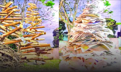 Esprit de fête - Décoration de Noël : entre tradition et nouveauté