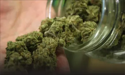 L’Escalier : un employé d’hôtel arrêté pour trafic de drogue