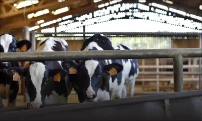 Ce que réserve 2018 aux PME et aux coopératives