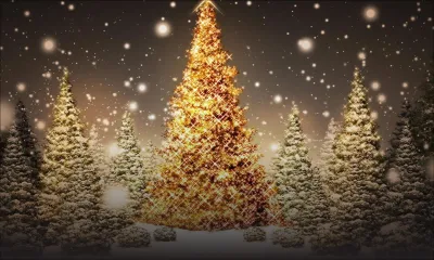 Achats et réveillon de Noël : la situation sanitaire bouleverse les habitudes 