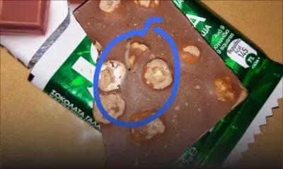 Des asticots dans un paquet de chocolat