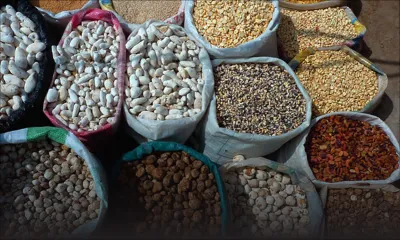 Sécheresse en Inde: les grains secs coûteront plus cher