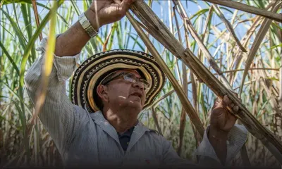 Manque de main-d’œuvre locale : la MCIA à la recherche de 2 500 ouvriers étrangers