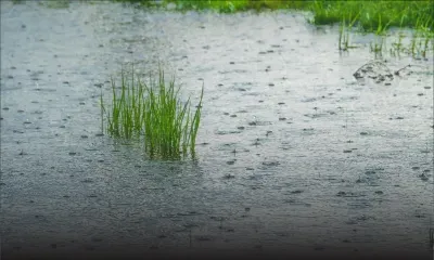 Avis de fortes pluies : Aidez-nous à mieux informer la population