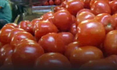 Légumes : hausse artificielle des prix en cette période festive