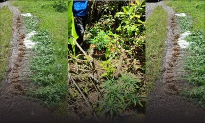 Pointe-aux-Sables : insalubrité signalée près de la zone industrielle, des travailleurs étrangers cités dans les témoignages recueillis