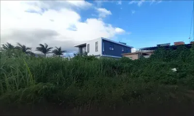 Chikungunya – La Marie : un terrain en friche inquiète le voisinage