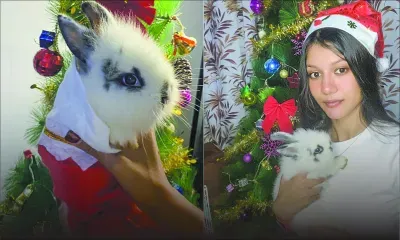 Noël prolongé : la leçon de bonheur de nos amis les animaux