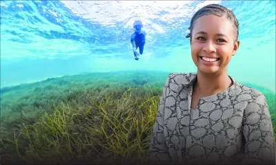 Annabelle Cupidon, biologiste marine : «Sous l’eau, j’ai compris la beauté et la fragilité de l’océan»