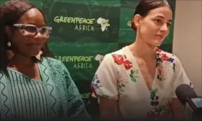 Greenpeace s’implante à Maurice : vers de nouvelles convergences environnementales
