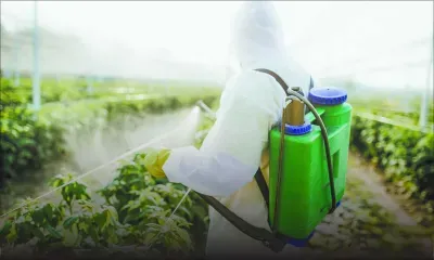 Pesticides : le problème de la « mauvaise ordonnance »