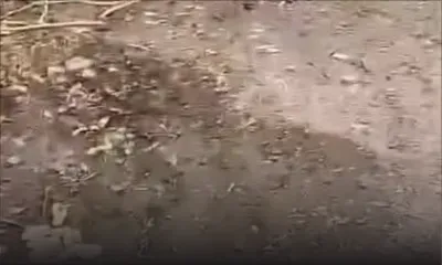 [Via WhatsApp Défi] Camp-Levieux : un terrain transformé en dépotoir sauvage