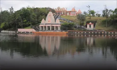 Grand-Bassin : après les canards, les chats errants seront retirés