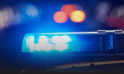 Japon : des feuilles de thé provoquent un accident routier mortel