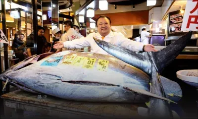 Japon : le "roi du thon" paie un poisson 2,8 millions d'euros à une vente aux enchères