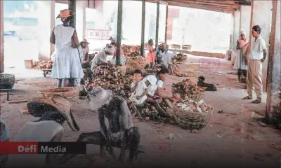 Les îles Chagos, un litige international et un drame humain de près de 60 ans