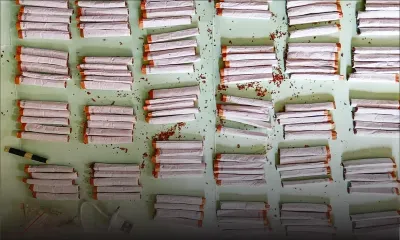 En trois jours consécutifs : 281 cigarettes destinées à la prison de Petit-Verger saisies