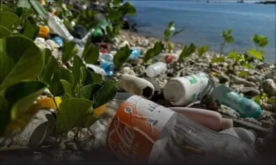Forte affluence sur les plages publiques depuis le début de l’année : près de 500 tonnes de déchets retirées, selon la Beach Authority