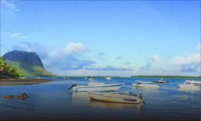 MARÉE : la mécanique du souffle marin