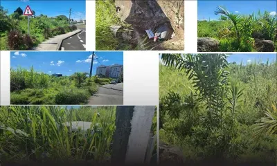 À Sodnac : des résidents de l’avenue des Tulipes expriment leur ras-le-bol