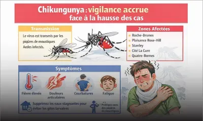 Chikungunya : surveillance renforcée après la détection de 15 nouveaux cas 