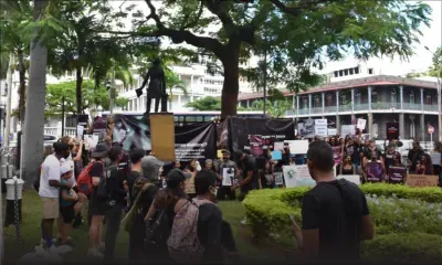 Surpopulation animale : une marche pour briser le silence et réclamer des actions