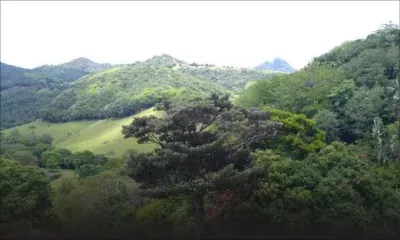 Vallée de Ferney : une touriste polonaise égarée retrouvée saine et sauve