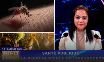 [Info Soirée] : « 23 nuvo k Chikungunya dan enn semenn »