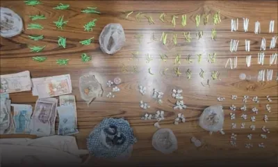 Roche-Bois : plus de Rs 600 000 de différentes drogues saisies ; un suspect de 30 ans épinglé