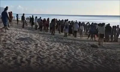 Flic-en-Flac : un homme de 72 ans périt noyé