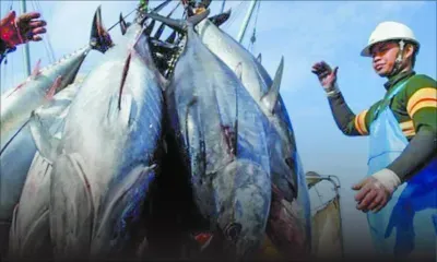 L’UE prépare un nouveau partenariat de pêche avec Maurice