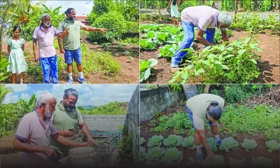 Le goût de la terre