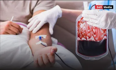 Plaquettes de groupe sanguin B+ : appel urgent aux donneurs