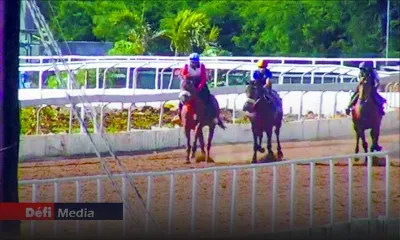 Certificat d’investissement révoqué : Global Equestrian Ltd ne pourra pas contester la décision de l’EDB