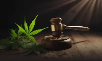 Dépénalisation ou légalisation du gandia : le débat s’amplifie