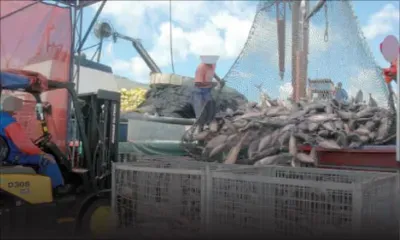 Économie bleue : douze ans après les grandes annonces, Maurice reste loin du décollage bleu
