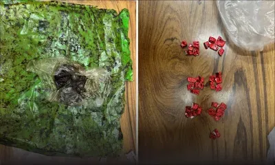 Baie-du-Tombeau : saisie de cannabis et de haschich estimée à Rs 1 million, un suspect arrêté