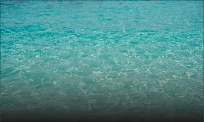 Tamarin : un enfant de 10 ans attaqué par des requins