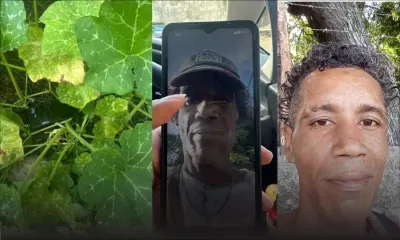 Cap Malheureux : un présumé voleur de giraumons trahi par sa photo sur son téléphone