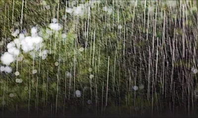 Pluviométrie : jusqu’à 82 mm enregistrés dans certaines régions