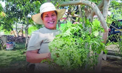 Maria : «Ma tasse de thé a perdu son goût»