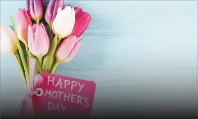 Home Is Where the Family Grows : Expat Moms Share Their Mauritius Journey