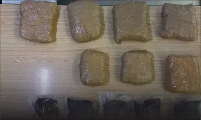 Flacq : saisie de cannabis valant Rs 5,4 millions, un homme arrêté