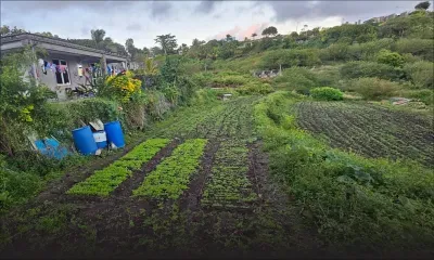 Sécurité alimentaire : le retour à la terre comme réponse à notre dépendance?