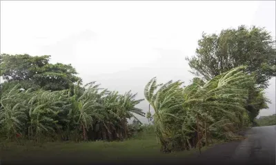 Météo : des rafales pouvant atteindre 60 km/h attendues ce jeudi