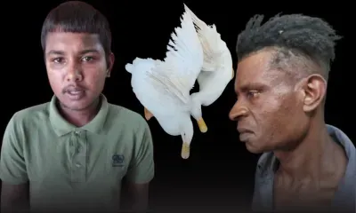 Albion : deux présumés voleurs de canards arrêtés  