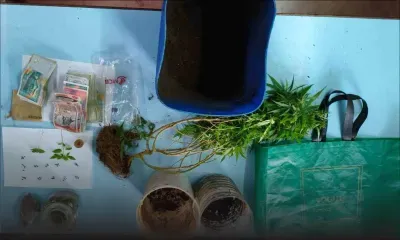 Pailles : du cannabis et Rs 116 000 saisis par l’ADSU