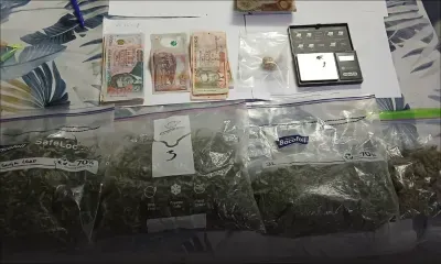Flic-en-Flac : un Britannique arrêté pour trafic de cannabis