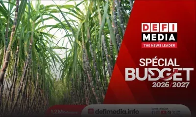 Budget 2026-2027 : Rs 100 millions par an pour relancer la production sucrière